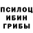 Галлюциногенные грибы Psilocybine cubensis Ku6EP_CTIuPT
